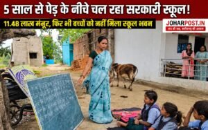 स्कूल नहीं, पेड़ बना क्लासरूम… बिलासपुर की यह तस्वीर कर देगी हैरान